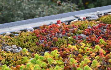 the cost of South Haa green roof installation