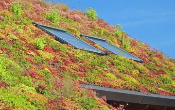 South Haa living roof systems