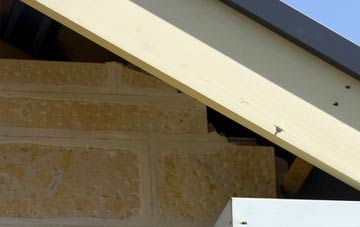 soffit repair South Haa