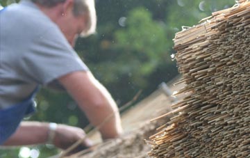 professional South Haa thatchers