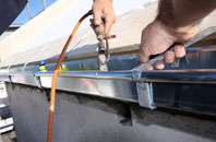 free South Haa fascia quotes